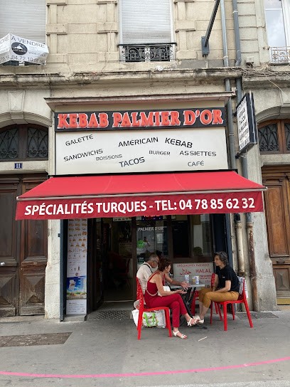Le Palmier D'Or, Kebab à Villeurbanne